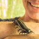 Image for article titled How To Dodge A Bullet Ant 12 Stories Up — In The Rainforest Canopy